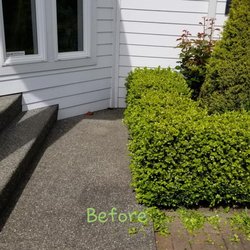 Tidy Lawn & Landscaping - Before