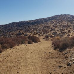 SGT Steve Owen Bench Trail