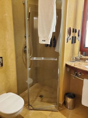 The Westin Warsaw by null