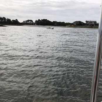 Drifter Excursions - Dolphin fever - Fishing Near Me - Hilton Head Island, South Carolina Drifter Excursions - Dolphin fever - Fishing Near Me - Hilton Head Island, South Carolina