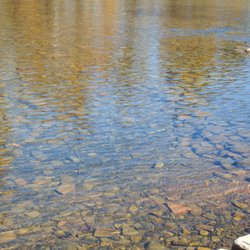 Watauga River Rental
