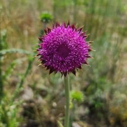 user provided Babi Yar Park photo