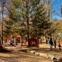 Photo of Everhart Park