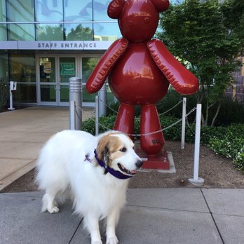 animal am emergency clinic