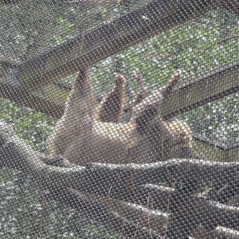 Zoo Atlanta - Zoos Near Me - Atlanta, Georgia Zoo Atlanta - Zoos Near Me - Atlanta, Georgia