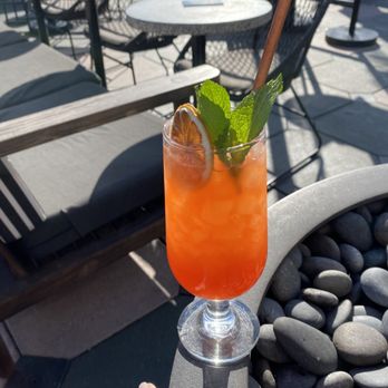 M Bird - Afterthot - Cocktail Bars Near Me - Tampa, Florida M Bird - Afterthot - Cocktail Bars Near Me - Tampa, Florida
