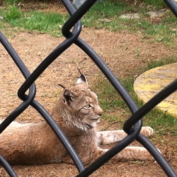 Wild Wonders - Zoos Near Me - Bonsall, California Wild Wonders - Zoos Near Me - Bonsall, California