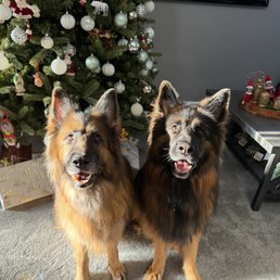 Gracey and Sadie