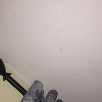 Coventry Crossroads Apartments - No matter how much I cleaned mold would appear on ceilings,closet and on my belongings these apts have mold issues - Apartments Near Me - Coventry, Rhode Island Coventry Crossroads Apartments - No matter how much I cleaned mold would appear on ceilings,closet and on my belongings these apts have mold issues - Apartments Near Me - Coventry, Rhode Island