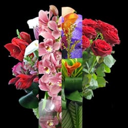 Country Elegance Florist - Country Elegance Premium Designers Choice