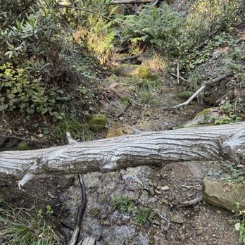 Castle Rock State Park - Parks Near Me - Los Gatos, California Castle Rock State Park - Parks Near Me - Los Gatos, California