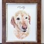 Kurt Youngblood Framing And Art