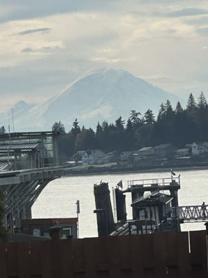 That's A Some Pizza by null