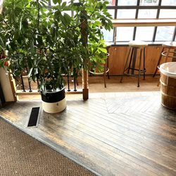 Go Green: (Window Welcome)
