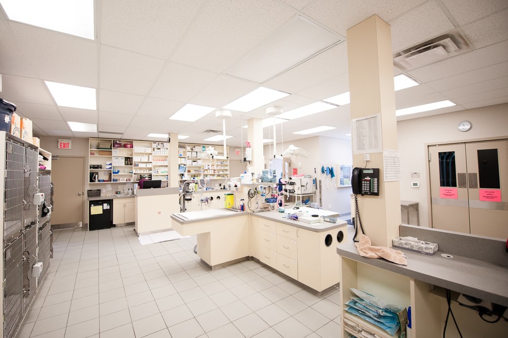 VETERINARY EMERGENCY AND REFERRAL HOSPITAL Updated September 2024