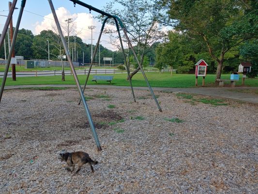 Medlock Park by null