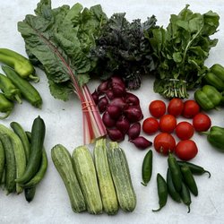 Vesolaya Gardens - Fresh picked vegetables for our weekly CSA box