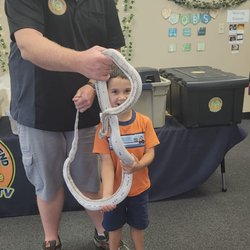 Woodlands Academy of Early Learning - Forgotten Friends Reptile show