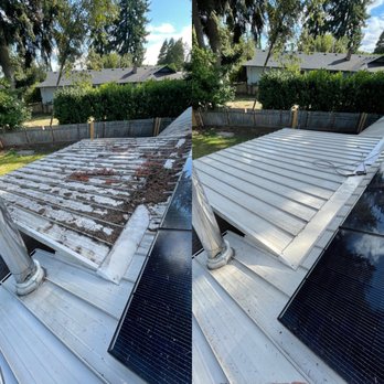 Mossaway - Gutter Services Near Me Mossaway - Gutter Services Near Me