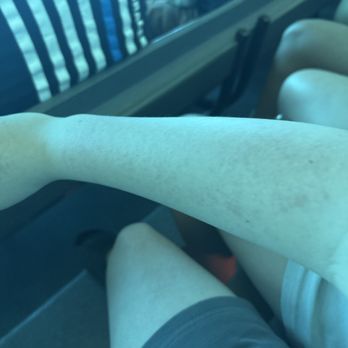 Weeki Wachee Springs - There is my arm. - Amusement Parks Near Me - Spring Hill, Florida Weeki Wachee Springs - There is my arm. - Amusement Parks Near Me - Spring Hill, Florida