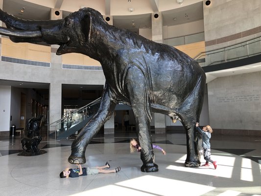 Sam Noble Oklahoma Museum of Natural History by null