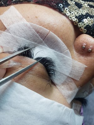 Virtue Lash by null