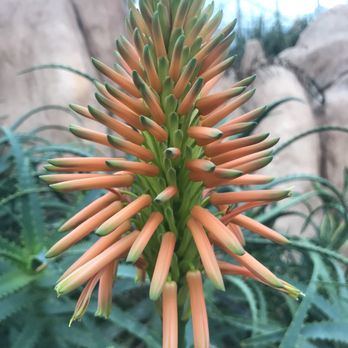 Mitchell Park Domes - Parks Near Me - Milwaukee, Wisconsin