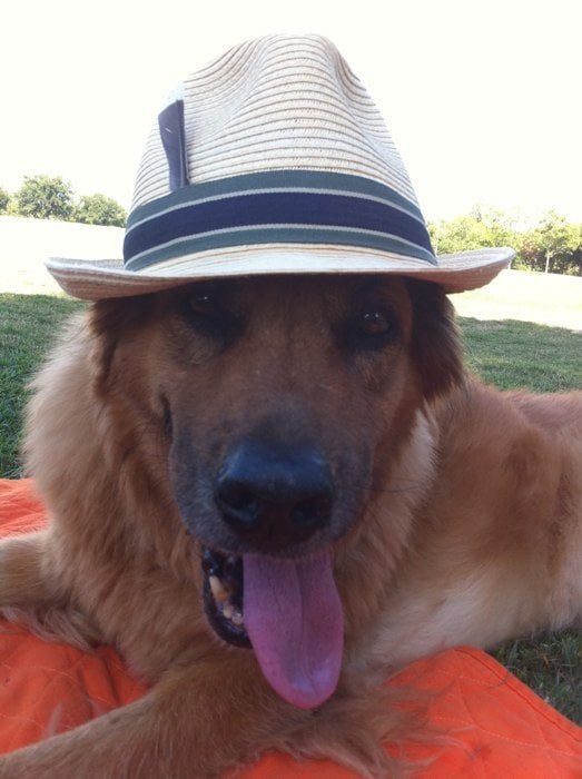 SUNGLASS HUT 18 Reviews 2901 S Capital Of Texas Hwy, Austin, TX Yelp