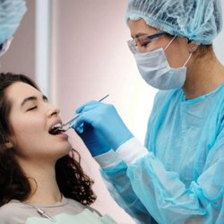 David M Radovich, DDS - Untitled