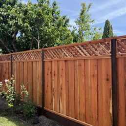 Fence Fence