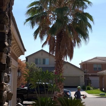 Alex Reyes Tree Services - Tree Services Near Me
