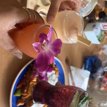 Nightingale - Cheers! - Breakfast & Brunch Near Me - Huntington Beach, California Nightingale - Cheers! - Breakfast & Brunch Near Me - Huntington Beach, California