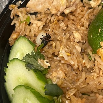Wee Thai Food - Basil Fried Rice - Thai Near Me - Lowell, Massachusetts