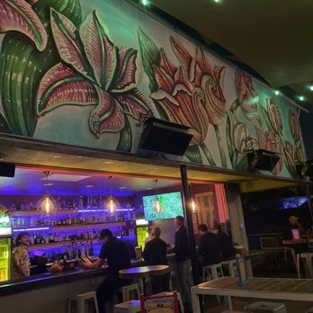Darling Aviary - Bar - Bars Near Me - Sacramento, California Darling Aviary - Bar - Bars Near Me - Sacramento, California