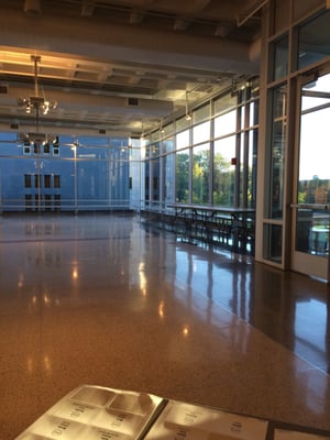 Macalester College by null