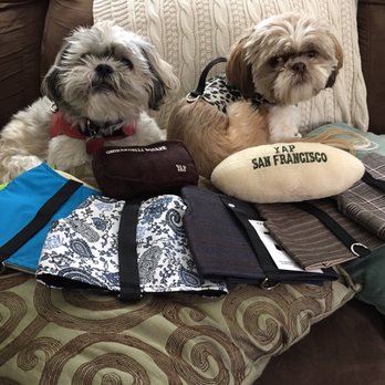 Yap Stores - Pet Stores Near Me - San Francisco, California
