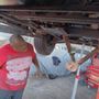 Photo of Show Up Mobil Auto Service and Repair