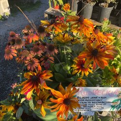 King's Nursery