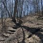 Photo of Happy Hollow Park
