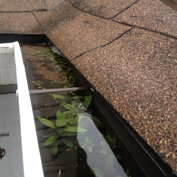 ViewRenew - Do you really know what is in your gutters?! - Window Washing Near Me ViewRenew - Do you really know what is in your gutters?! - Window Washing Near Me