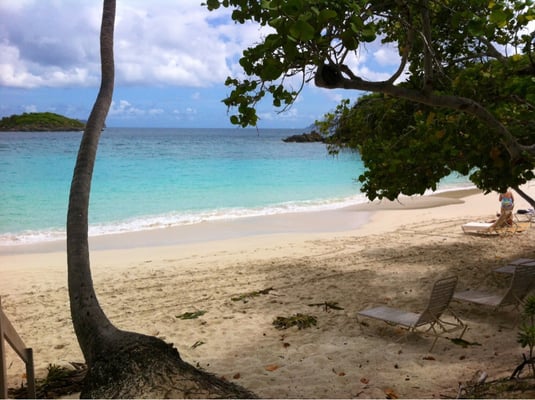 Caneel Bay Resort by null