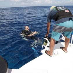 The Q Divers