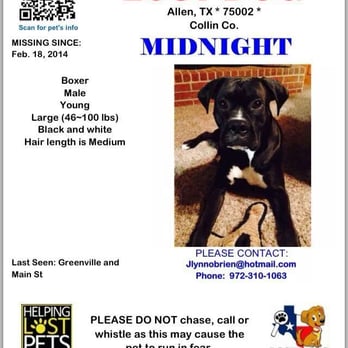 Allen Veterinary Hospital - Sadly, Midnight has been missing over a week, and the vet has done little to help. - Veterinarians Near Me - Allen, Texas
