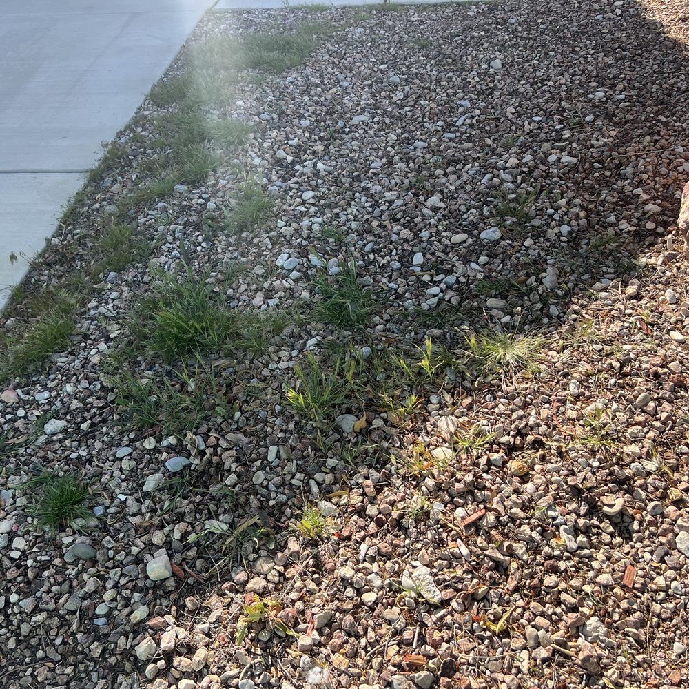 Dcancio Landscape - Front yard before - Landscape Architects or Designers Near Me - Manor, Texas