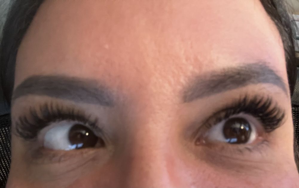 Flick Of The Wrist Lash Studio Logo