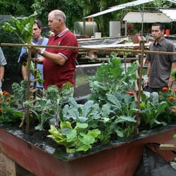 Olomana Gardens - Aquaponics Class