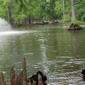 Swan Lake Iris Gardens - Parks Near Me - Sumter, South Carolina Swan Lake Iris Gardens - Parks Near Me - Sumter, South Carolina