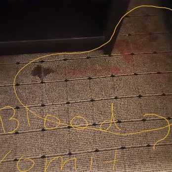 Wingate by Wyndham West Monroe - Between nightstand and bed. Blood, vomit, ??? - Hotels Near Me - West Monroe, Louisiana Wingate by Wyndham West Monroe - Between nightstand and bed. Blood, vomit, ??? - Hotels Near Me - West Monroe, Louisiana