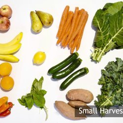 Farm Fresh Carolinas - Small Harvest Best