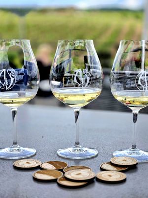 Adelsheim Vineyard by null